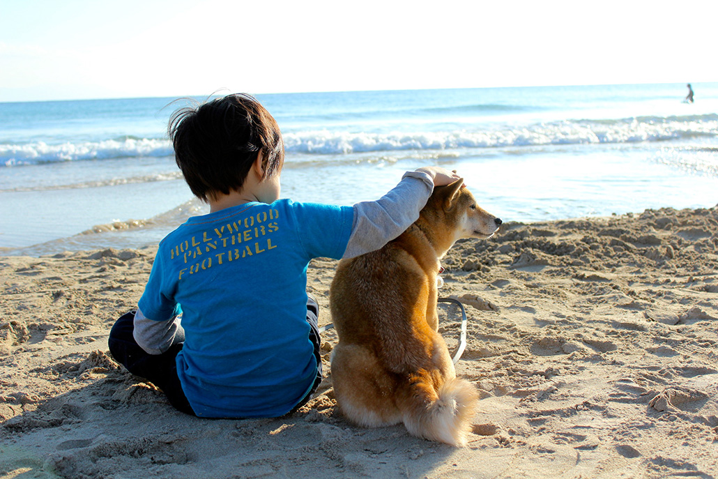 子供と柴犬